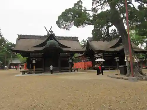 住吉大社の本殿