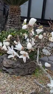 順應寺(滋賀県)