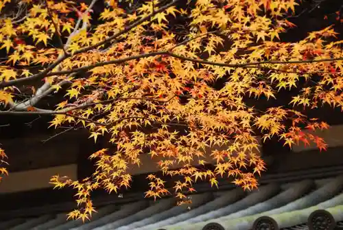 覚苑寺(山口県)