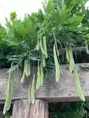 田縣神社(愛知県)