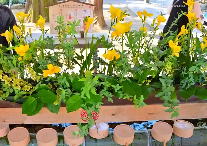 武蔵一宮氷川神社(埼玉県)
