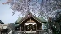 信濃神社の本殿・本堂