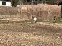 聖應寺(愛知県)