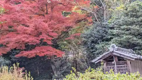 浄住寺(京都府)