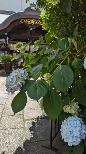 京都大神宮(京都府)