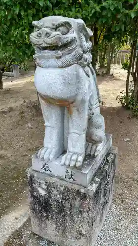 安仁神社の狛犬