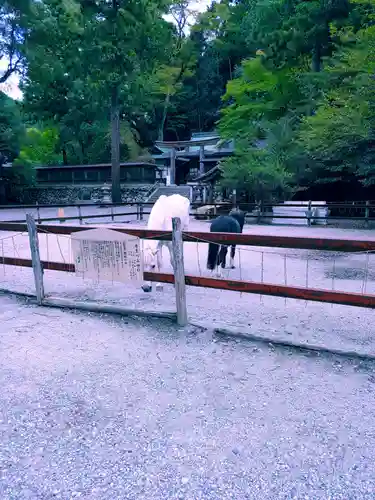 丹生川上神社（下社）(奈良県)