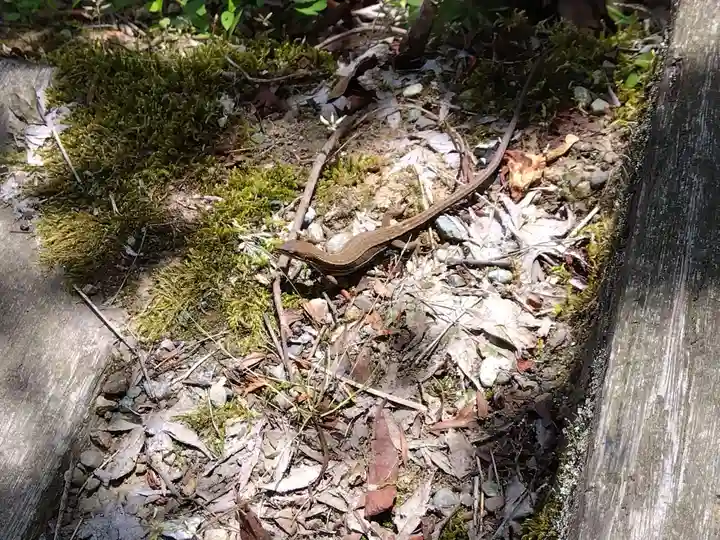 大安禅寺(福井県)