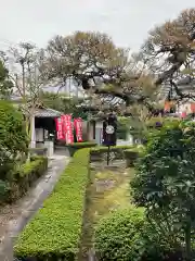 寶樹院（宝樹院）(京都府)