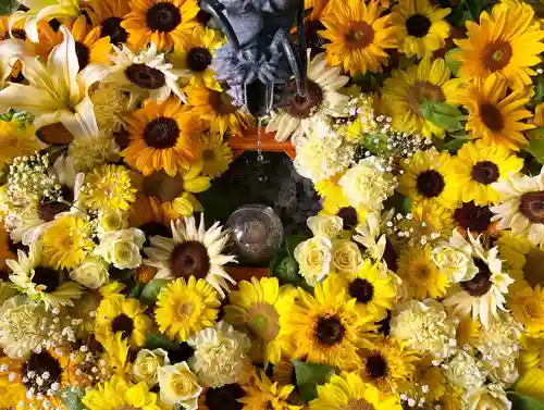 札幌諏訪神社の手水舎