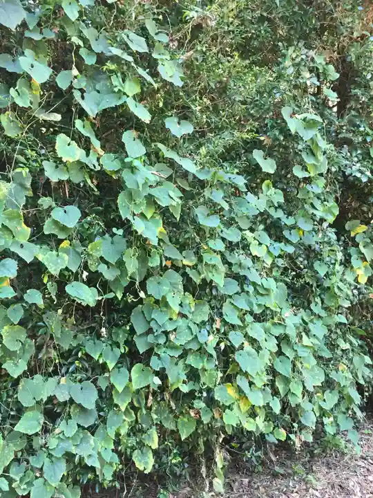 神麻続機殿神社(皇大神宮所管社)の自然
