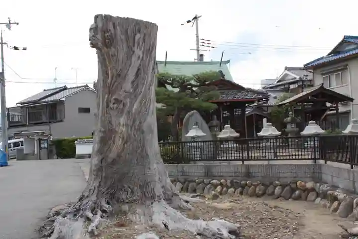 石原松尾神社(京都府)