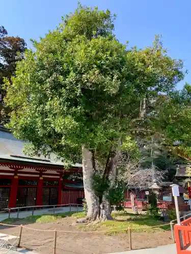 志波彦神社・鹽竈神社の{uncategorized: "未分類", other: "その他", undefined: "問題あり", building: "その他建物", grave: "お墓", sacred_gate: "鳥居", guardian: "狛犬", statue: "像", buddha: "仏像", history: "歴史", nature: "自然", garden: "庭園", animal: "動物", pagoda: "塔", temizu: "手水舎", mountain_gate: "山門・神門", sanctuary: "本殿・本堂", subordinate: "末社・摂社", art: "芸術", scenery: "景色", jizo: "地蔵", ema: "絵馬", goshuin: "御朱印", omikuji: "おみくじ", items: "授与品その他", amulet: "お守り", goshuincho: "御朱印帳", eats: "食事", festival: "お祭り", votive_dance: "神楽", shichigosan: "七五三参", wedding: "結婚式", experience: "体験その他", initially: "初詣", around: "周辺", anti_infection: "感染症対策"}