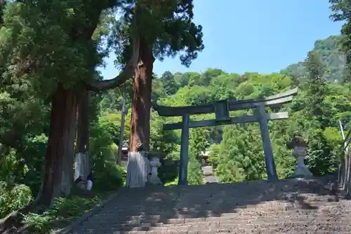 妙義神社の鳥居