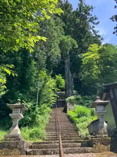 日枝神社の建物その他