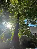 戸越八幡神社(東京都)