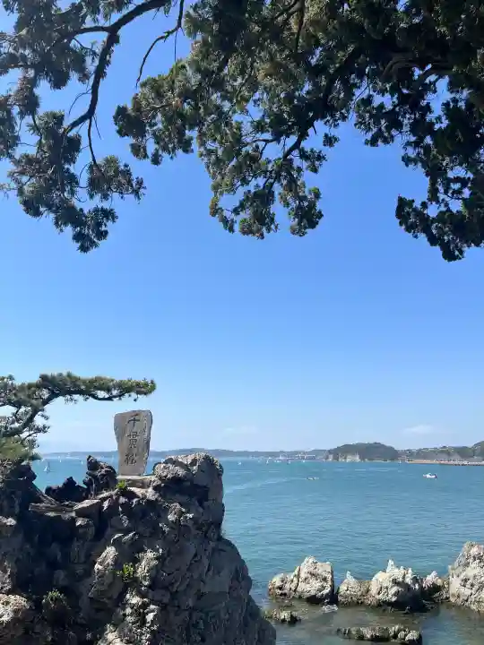 森戸大明神(森戸神社)の{uncategorized: "未分類", other: "その他", undefined: "問題あり", building: "その他建物", grave: "お墓", sacred_gate: "鳥居", guardian: "狛犬", statue: "像", buddha: "仏像", history: "歴史", nature: "自然", garden: "庭園", animal: "動物", pagoda: "塔", temizu: "手水舎", mountain_gate: "山門・神門", sanctuary: "本殿・本堂", subordinate: "末社・摂社", art: "芸術", scenery: "景色", jizo: "地蔵", ema: "絵馬", goshuin: "御朱印", omikuji: "おみくじ", items: "授与品その他", amulet: "お守り", goshuincho: "御朱印帳", eats: "食事", festival: "お祭り", votive_dance: "神楽", shichigosan: "七五三参", wedding: "結婚式", experience: "体験その他", initially: "初詣", around: "周辺", anti_infection: "感染症対策"}