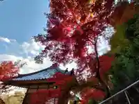 二尊院(京都府)