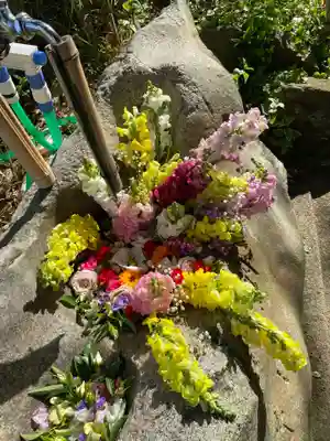 岡部春日神社～👹鬼門よけの🌺花咲く🌺やしろ～(福島県)