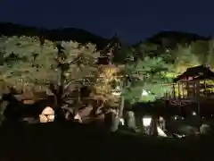 高台寺（高台寿聖禅寺・高臺寺）の庭園