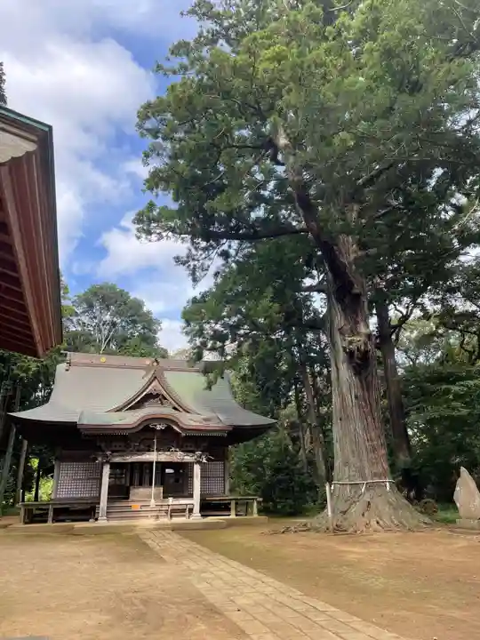 松山神社(千葉県)
