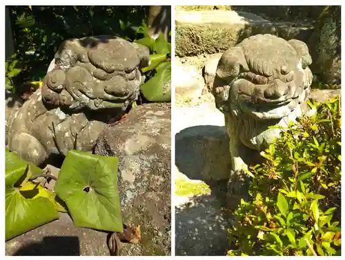 吉備津神社の狛犬