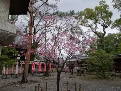 豊国神社のその他建物