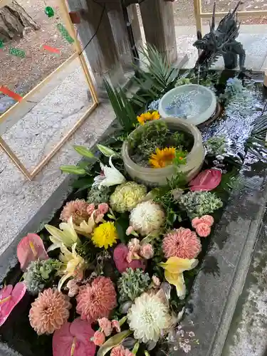 札幌護國神社の手水