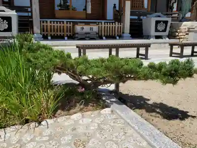 水天宮西廣寺の自然