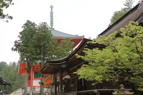 壇上伽藍(和歌山県)