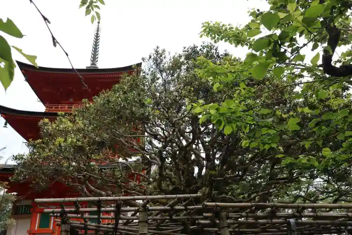 宝厳寺(滋賀県)