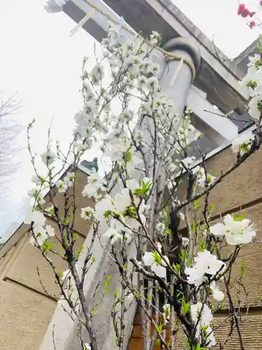 小野照崎神社(東京都)
