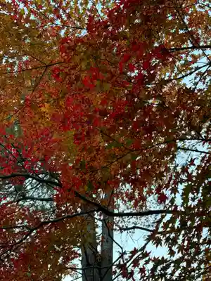 諏訪大社下社秋宮(長野県)