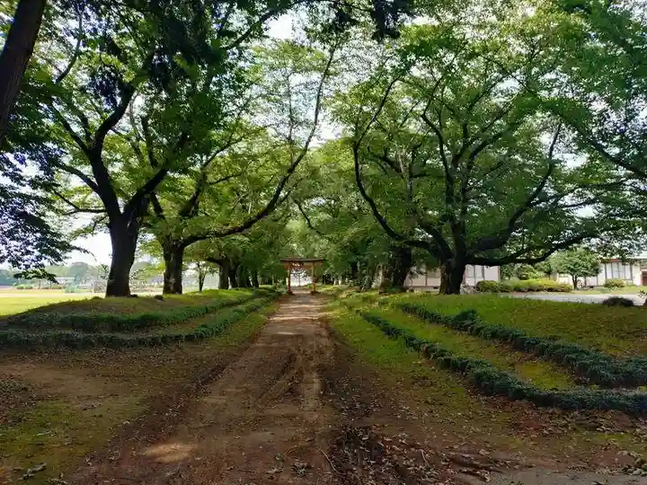 東蕗田天満社(茨城県)
