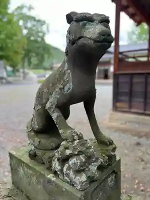椋神社の狛犬