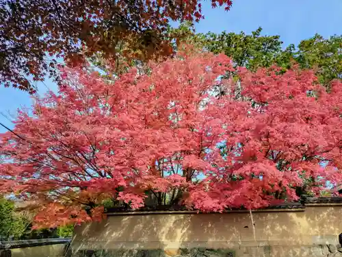 五大堂同聚院(京都府)
