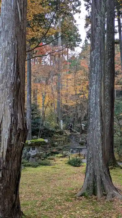 三千院門跡(京都府)