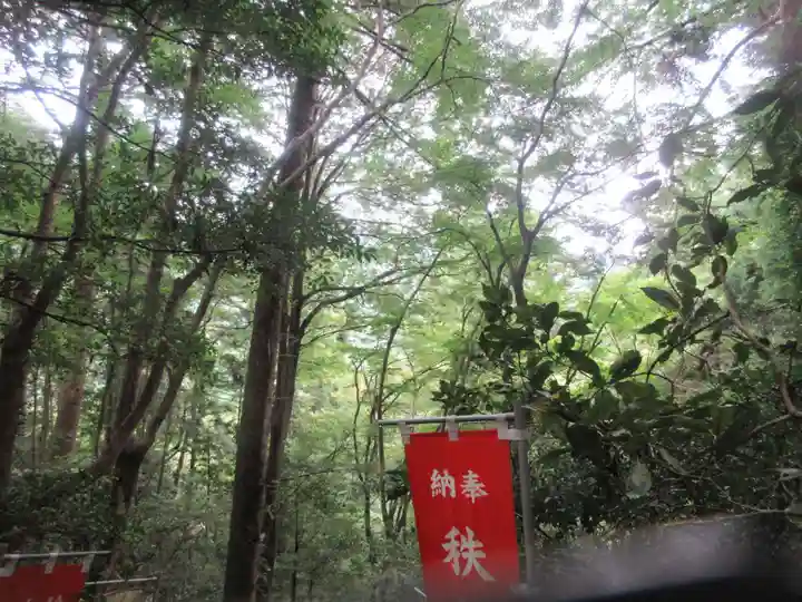 秩父御嶽神社(埼玉県)