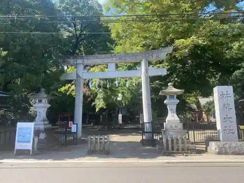 杵築大社(東京都)