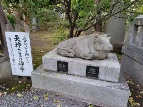 日枝神社の狛犬