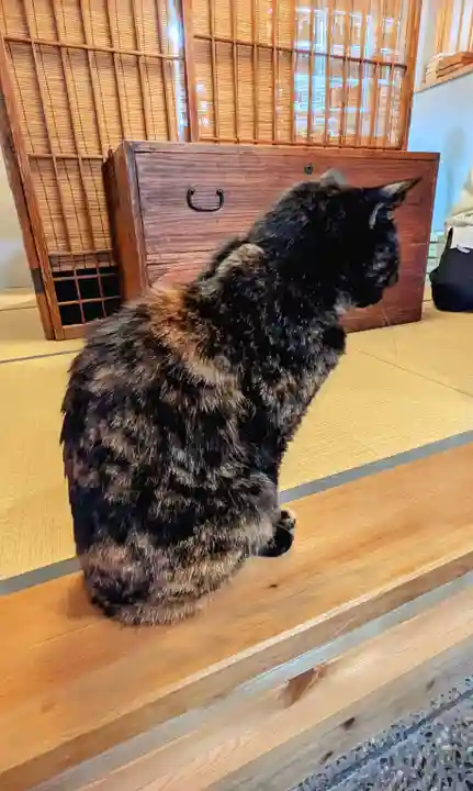 五十稲荷神社(栄寿稲荷神社)の動物