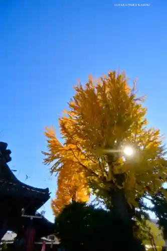 鴻神社の景色