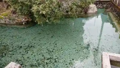 神明神社(岐阜県)