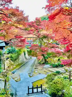 龍峰院(神奈川県)