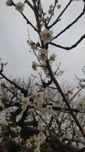 上里菅原神社(埼玉県)