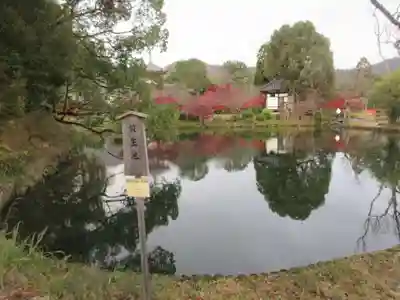 大覚寺(京都府)
