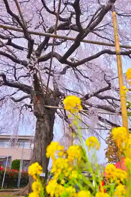 栗谷須賀神社(神奈川県)