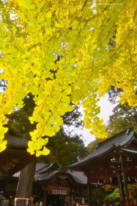 北口本宮冨士浅間神社(山梨県)