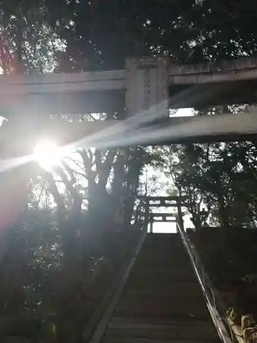 豊山八幡神社の鳥居