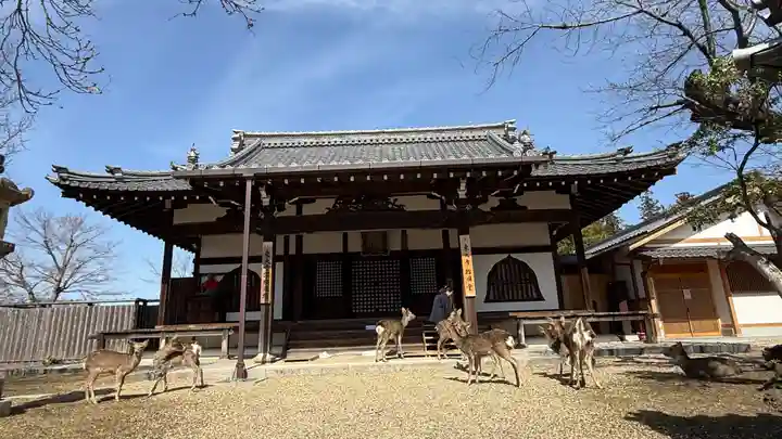 東大寺(奈良県)